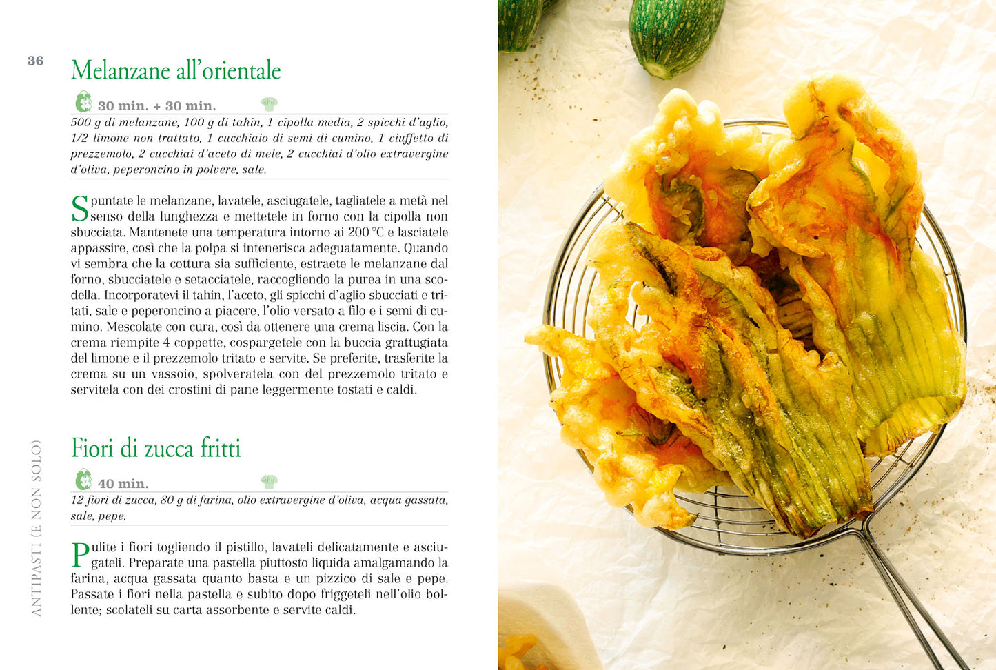 Cucina Green::Ricette vegetali dell'orto