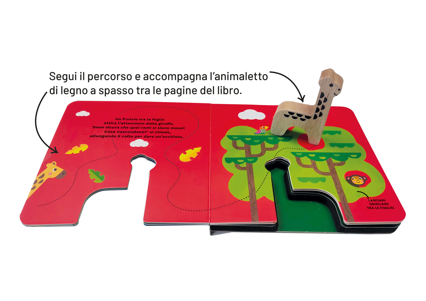 La giraffa curiosa