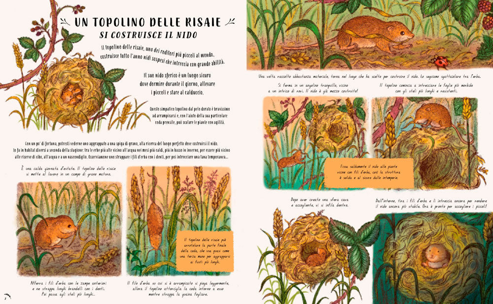 Piano piano... nel piccolo mondo::20 Storie per fermarti ad ammirare i piccoli incanti della natura