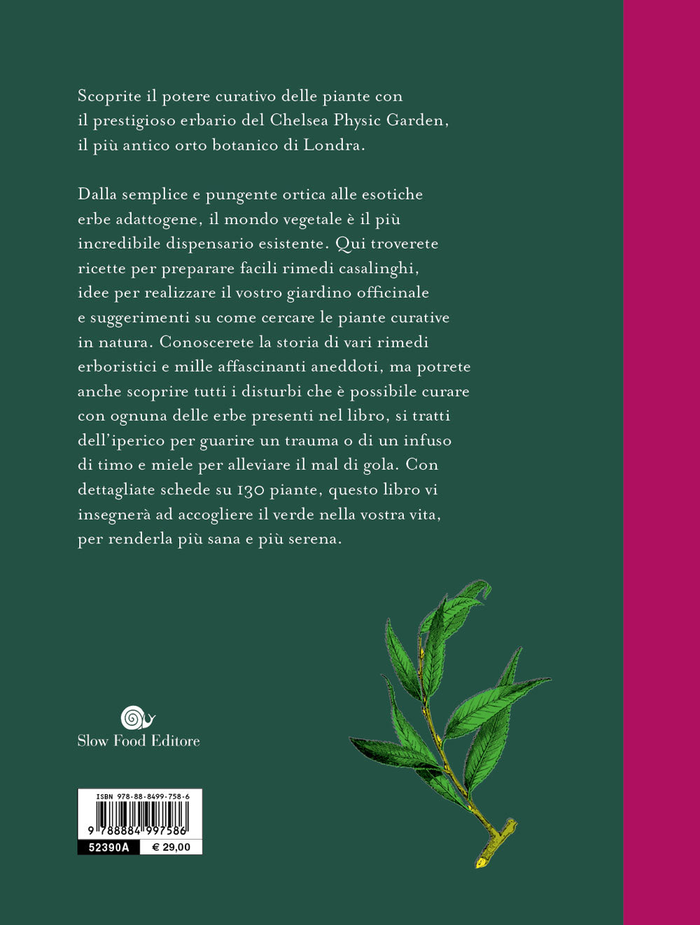 Curarsi con le piante::Giuda ai rimendi fitoterapici del più antico orto botanico di Londra