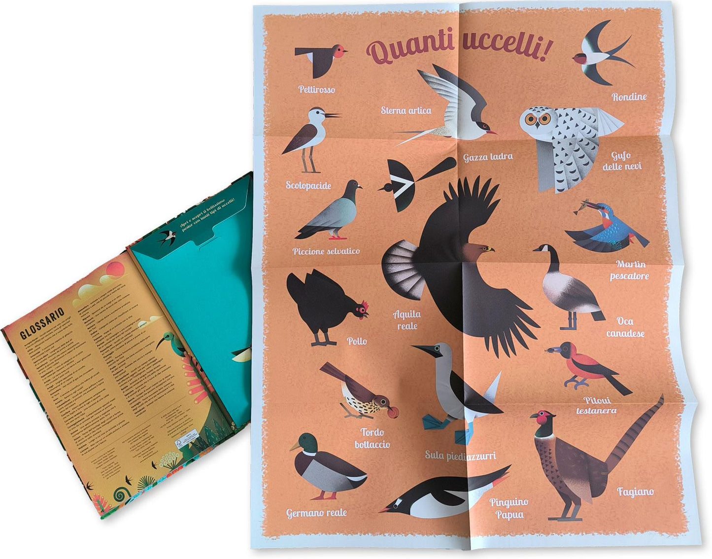 Il mio libro degli uccelli::Una prima guida per aspiranti birdwatchers!
