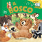 Il Bosco
