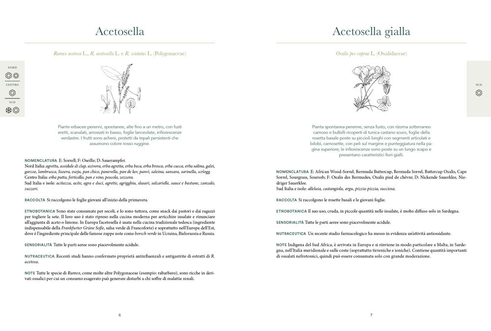 Atlante gastronomico delle erbe::170 piante. 60 ricette