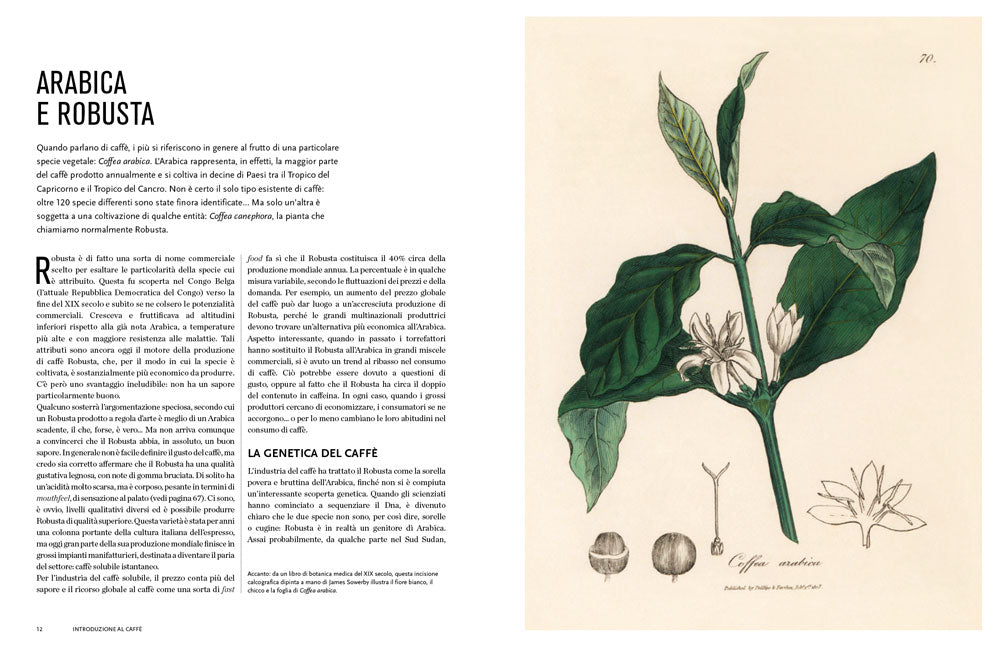 Il mondo del caffè::Storia, produzione, geografia, cultura