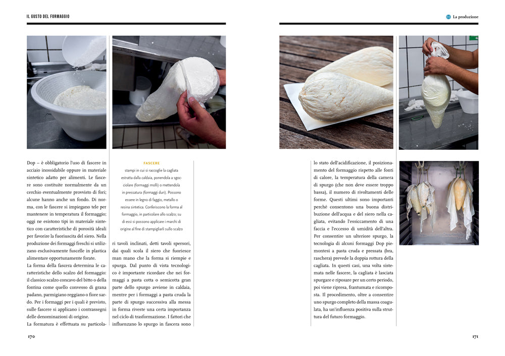 IL GUSTO DEL FORMAGGIO::CONOSCERE LE FORME DEL LATTE