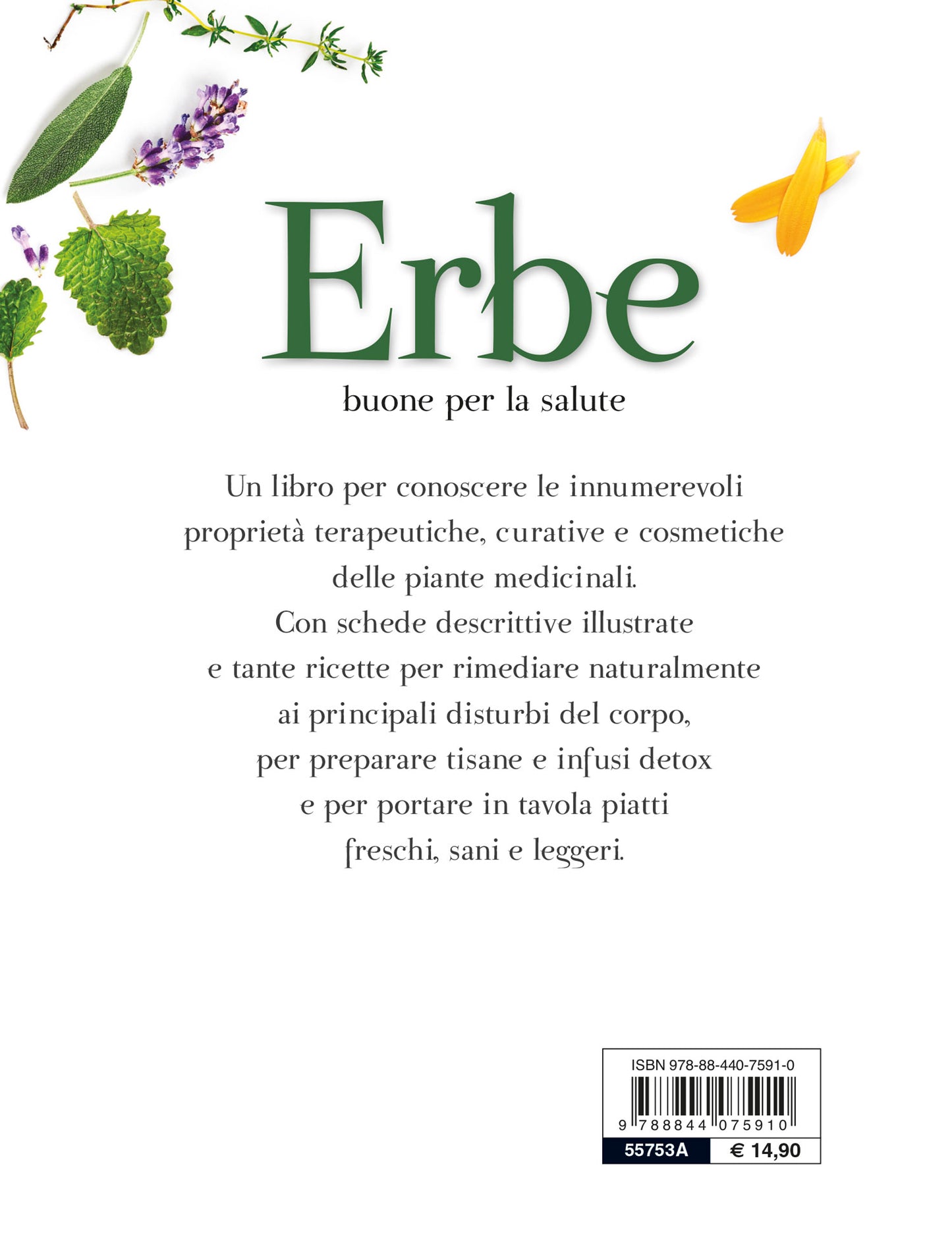 Erbe buone per la salute::Il ricettario completo