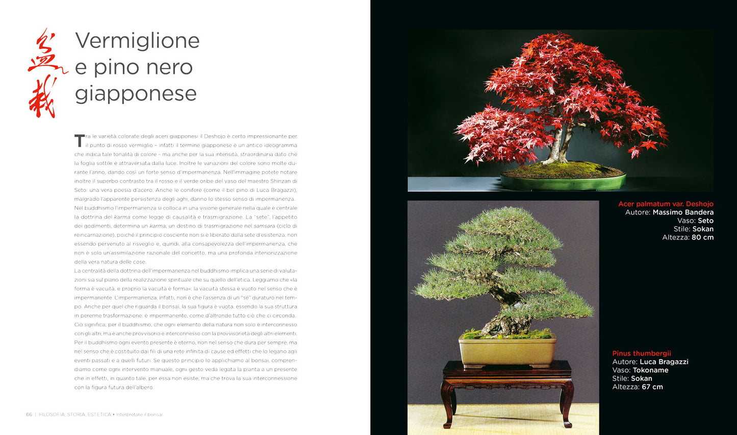 L'arte del bonsai::Storia, estetica, tecniche e segreti di coltivazione