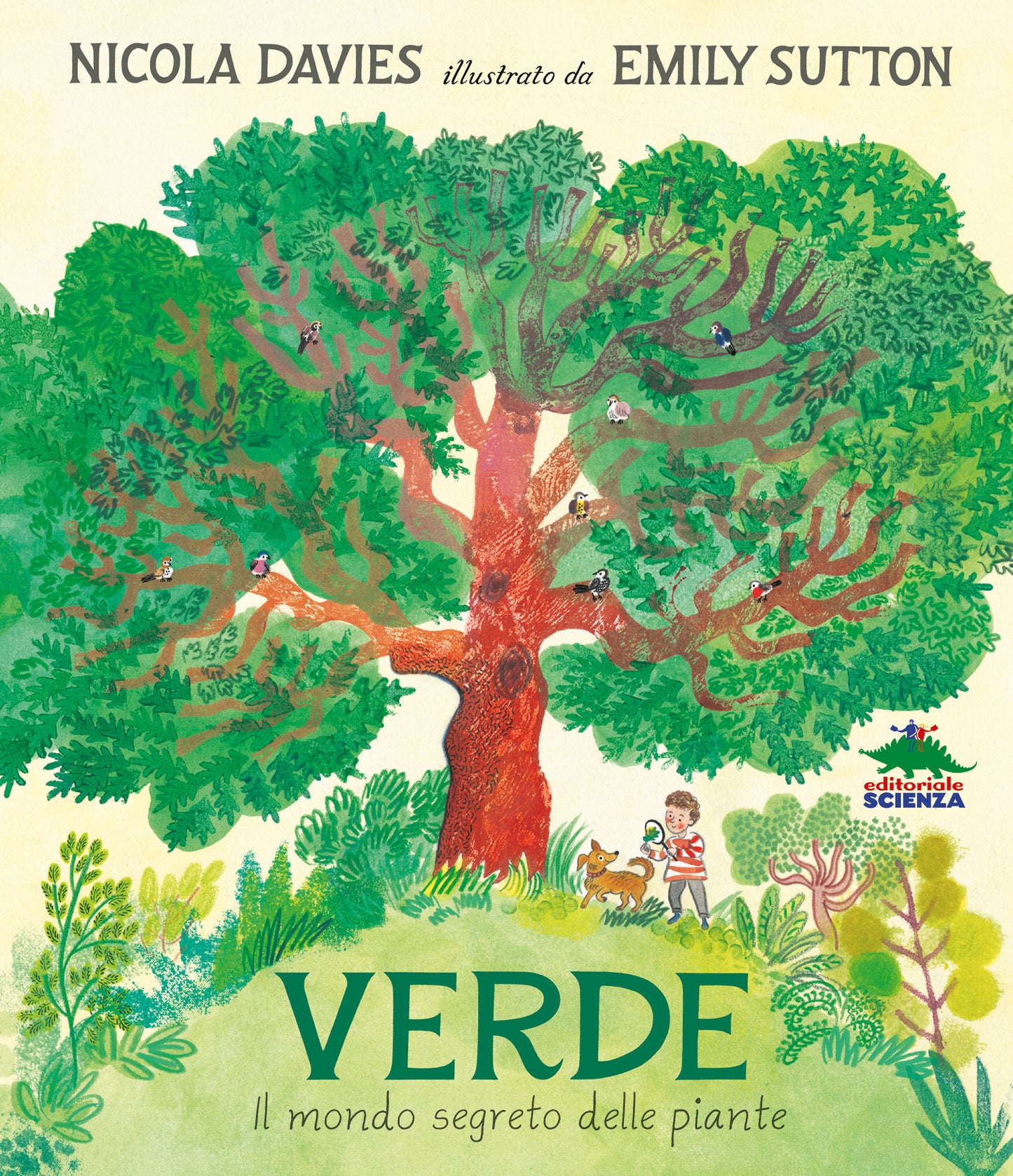 Verde::Il mondo segreto delle piante