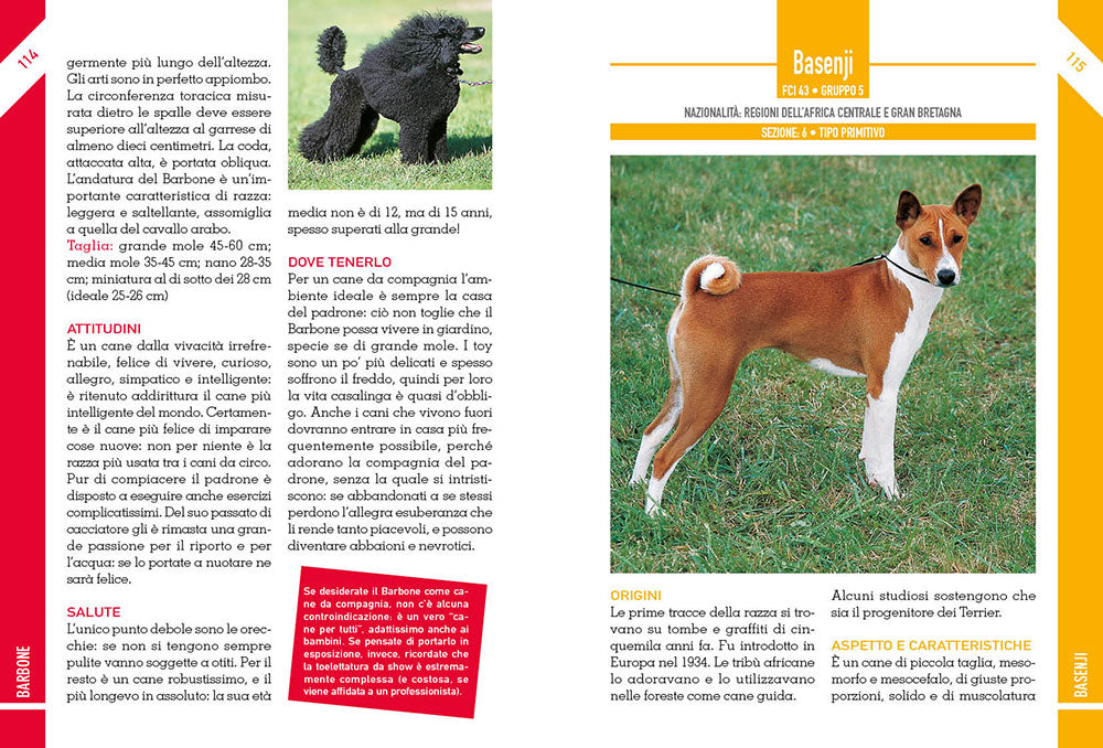 342 Cani di razza::caratteristiche fisiche e psicologiche • storia • attitudini • curiosità