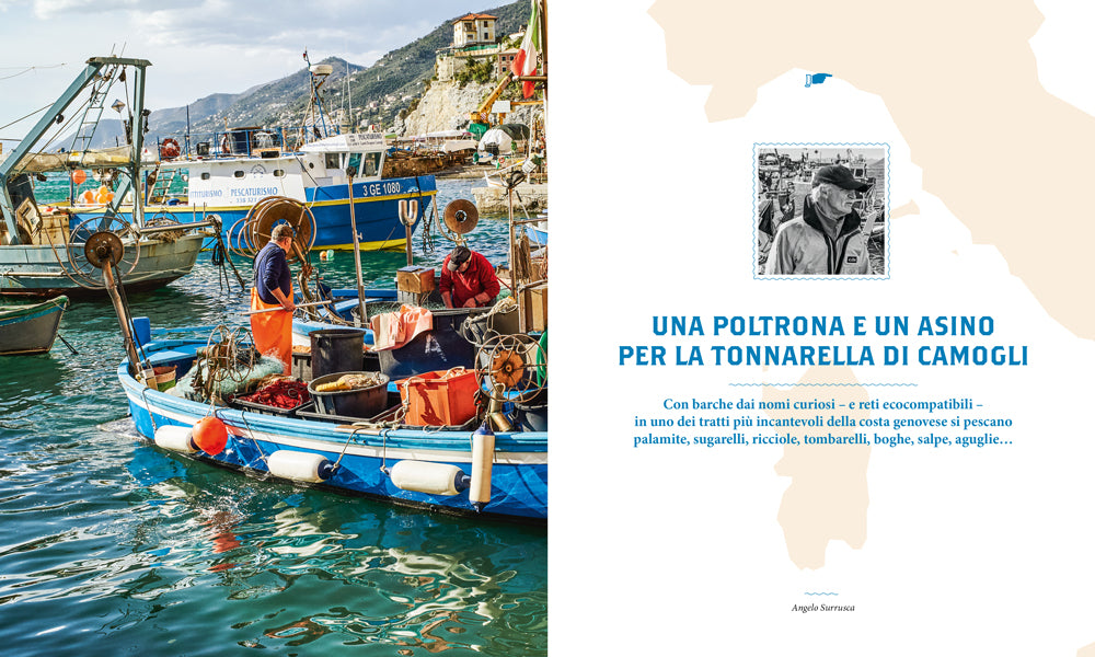 PESCE. LA PICCOLA PESCA E LA SUA CUCINA::LA PICCOLA PESCA E LA SUA CUCINA. 15 STORIE, 75 RICETTE