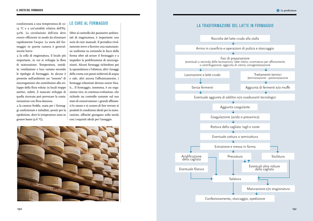 IL GUSTO DEL FORMAGGIO::CONOSCERE LE FORME DEL LATTE