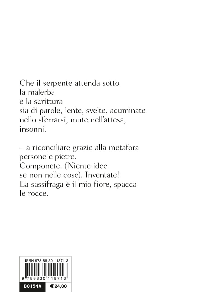 A un discepolo solitario::Testo inglese a fronte