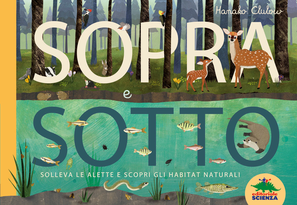 Sopra e sotto::Solleva le alette e scopri gli habitat naturali