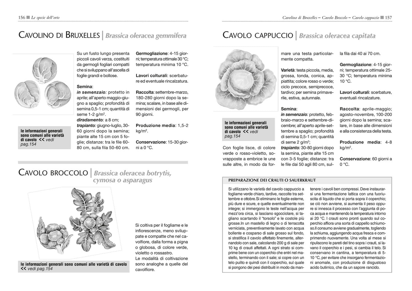 Il maxi libro dell'Orto::Come progettare, organizzare e curare il tuo orto