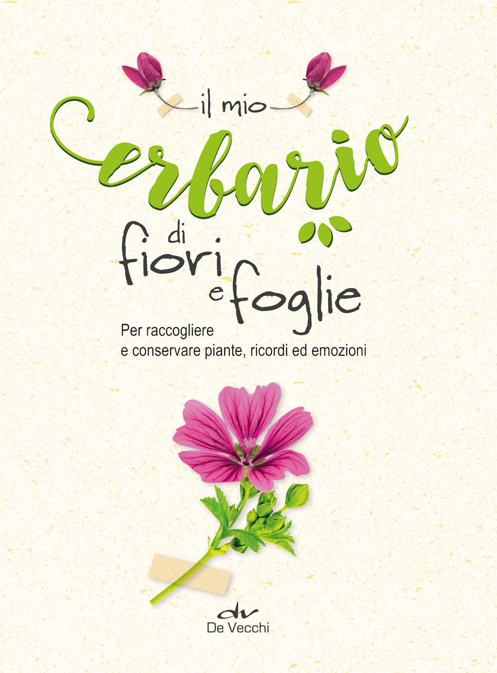 Il mio erbario di fiori e foglie::Per raccogliere e conservare piante, ricordi ed emozioni