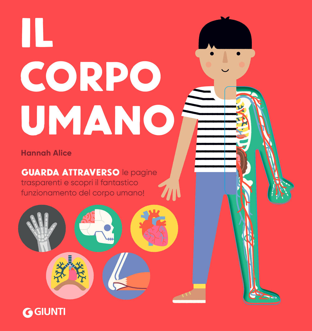 Il corpo umano::Guarda attraverso le pagine trasparenti e scopri il fantastico funzionamento del corpo umano!