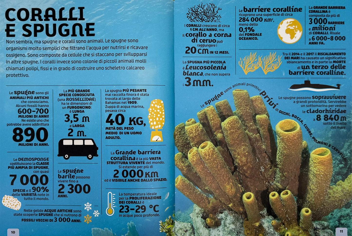 Animali. Un'enciclopedia di fatti fantastici