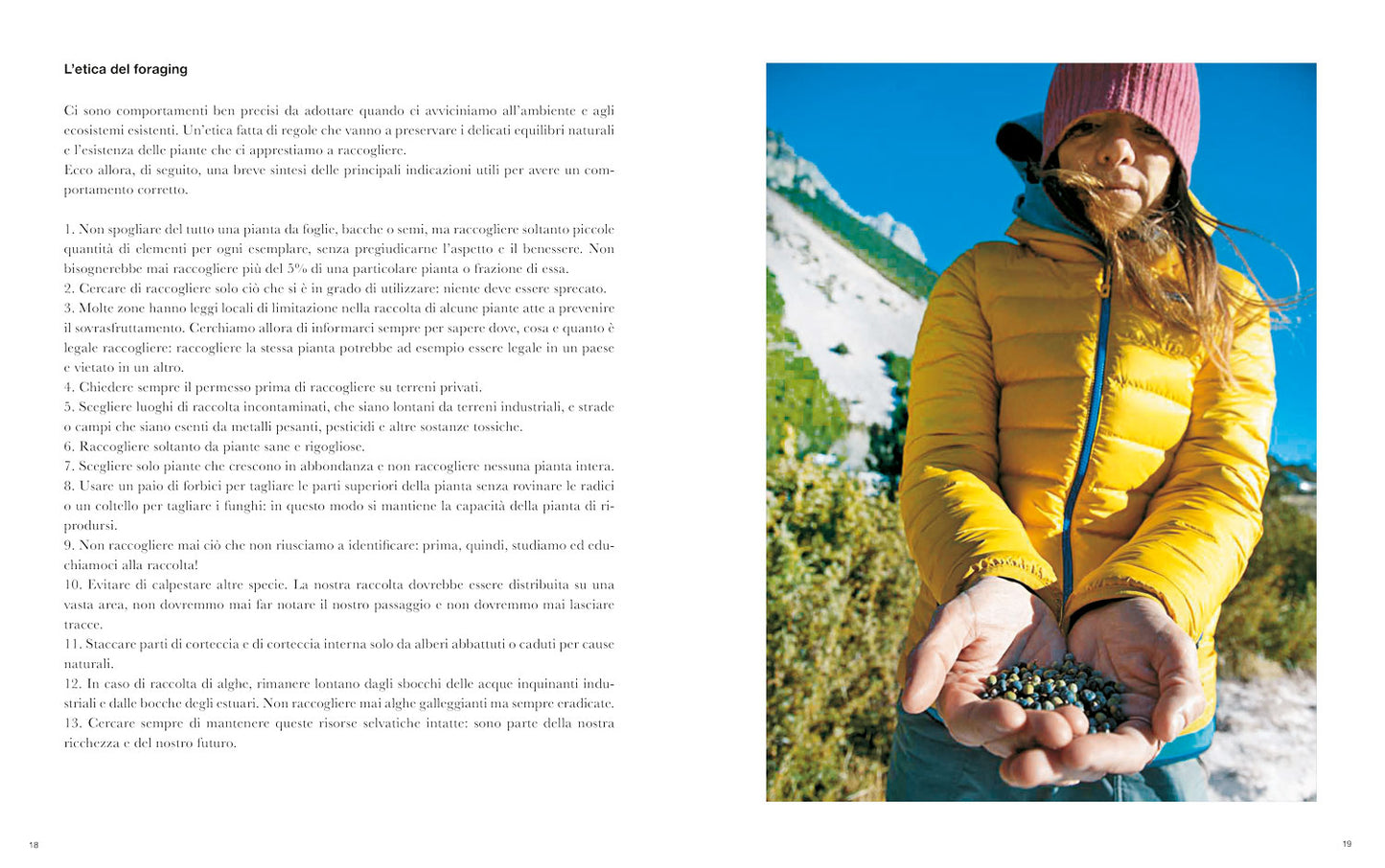 Imparare l'arte del Foraging