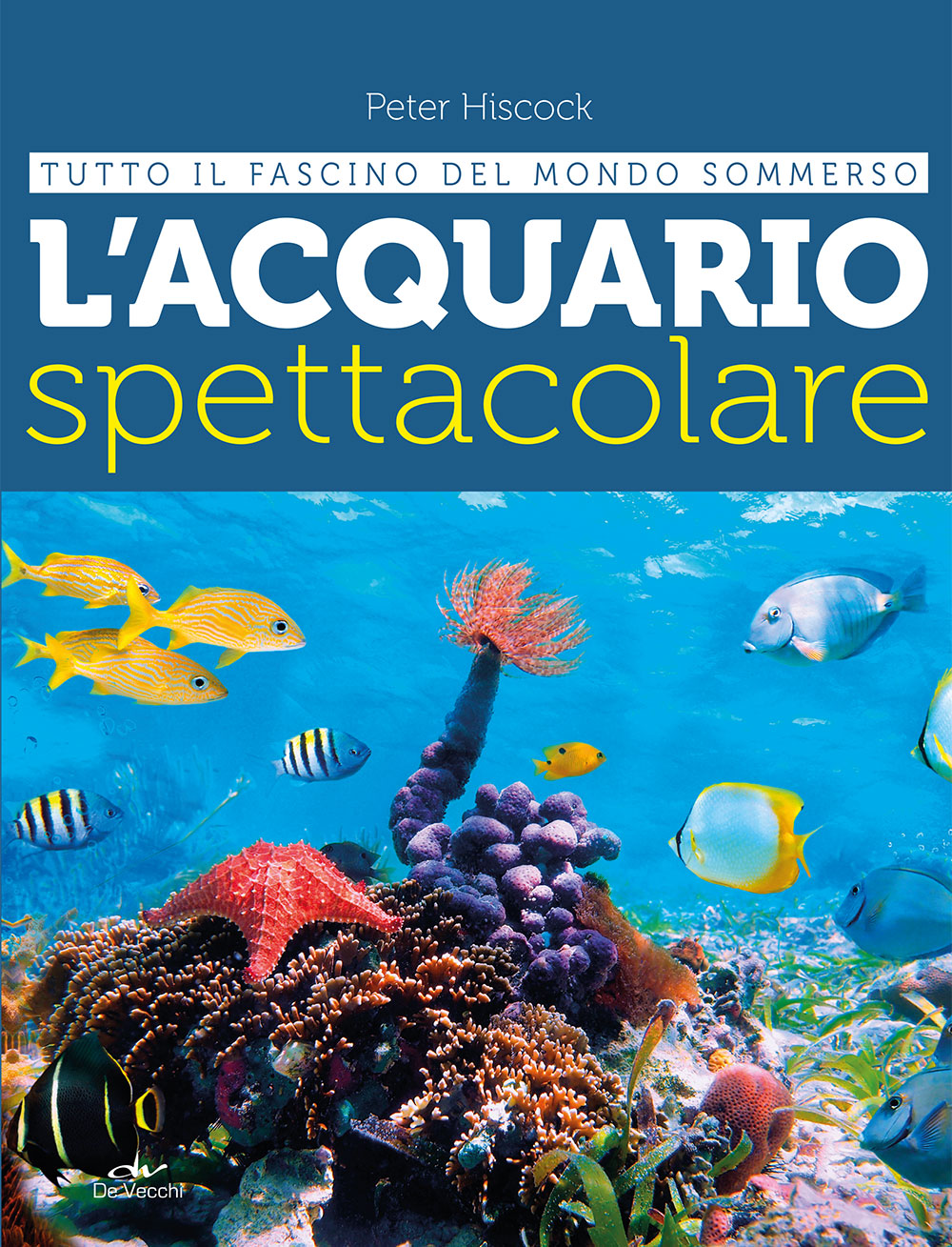 L'acquario spettacolare ::tutto il fascino del mondo sommerso