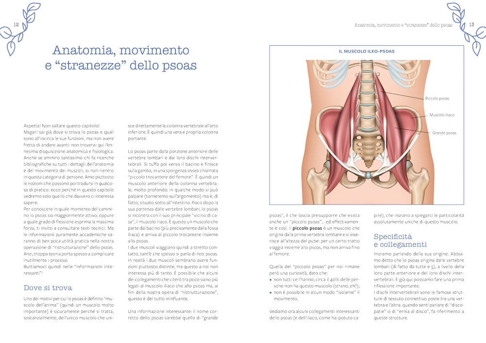 Psoas. Il ponte tra corpo e mente::Tutti gli esercizi per aumentare il benessere della schiena, ridurre l’ansia e riconnettersi con se stessi