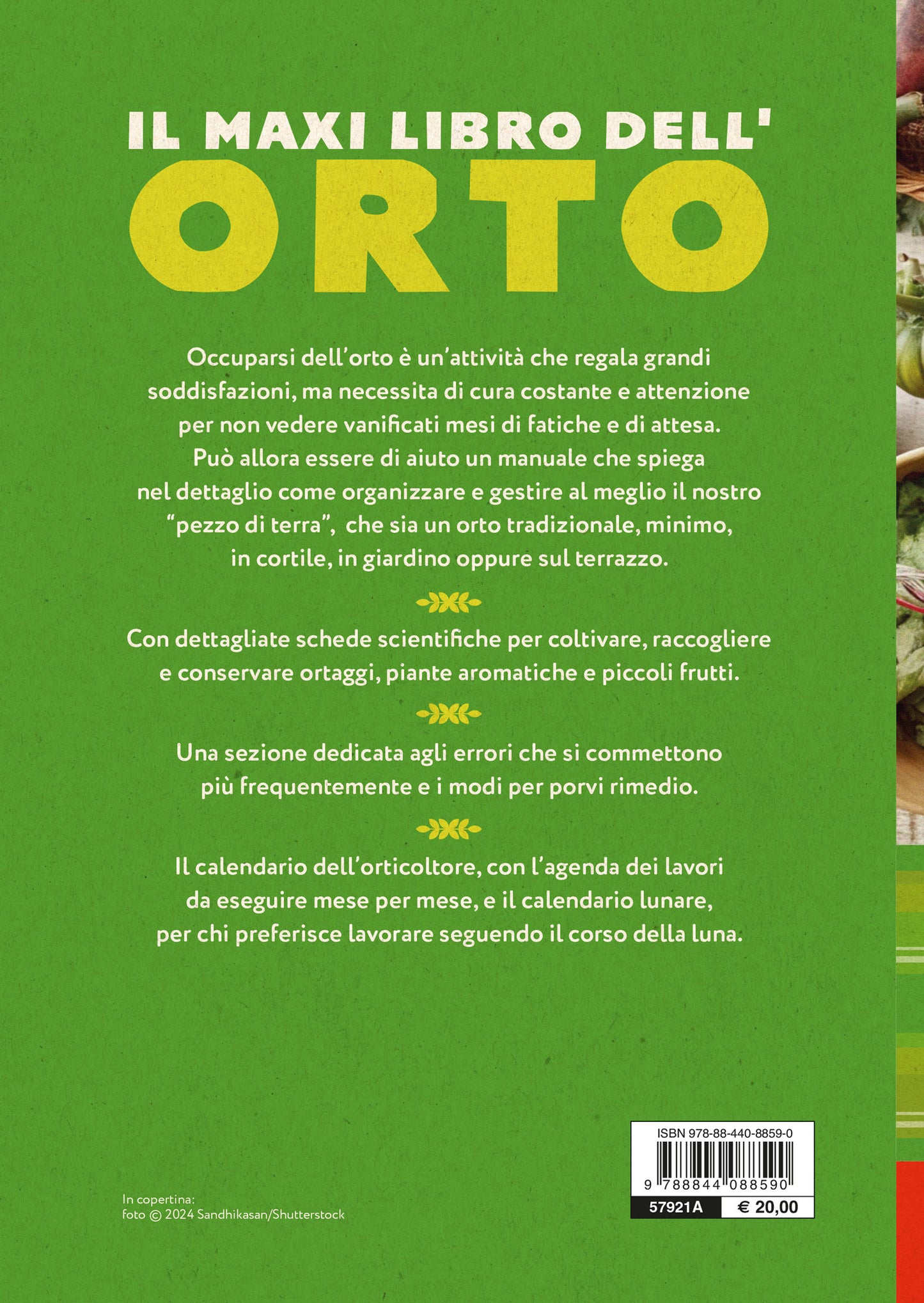 Il maxi libro dell'Orto::Come progettare, organizzare e curare il tuo orto