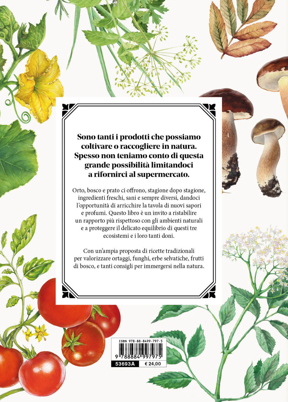 ORTO BOSCO PRATO::CUCINARE LA NATURA