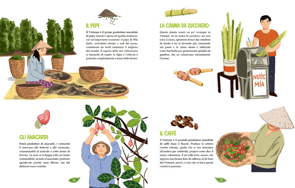 La cucina vietnamita illustrata::Le ricette e le curiosità per conoscere tutto sulla cultura gastronomica del Vietnam