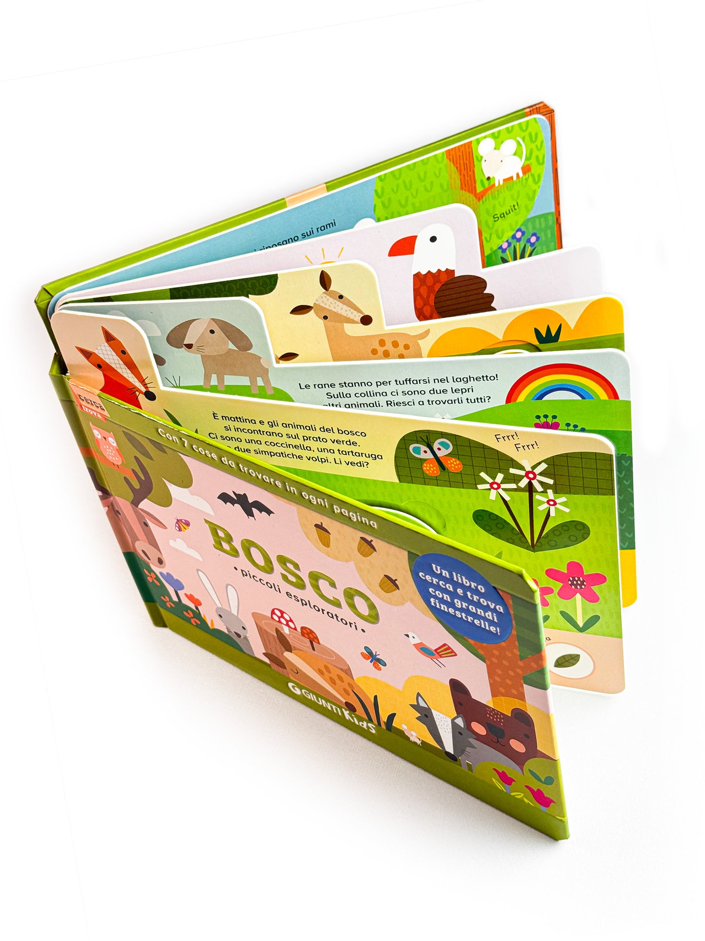 Bosco::Piccoli esploratori