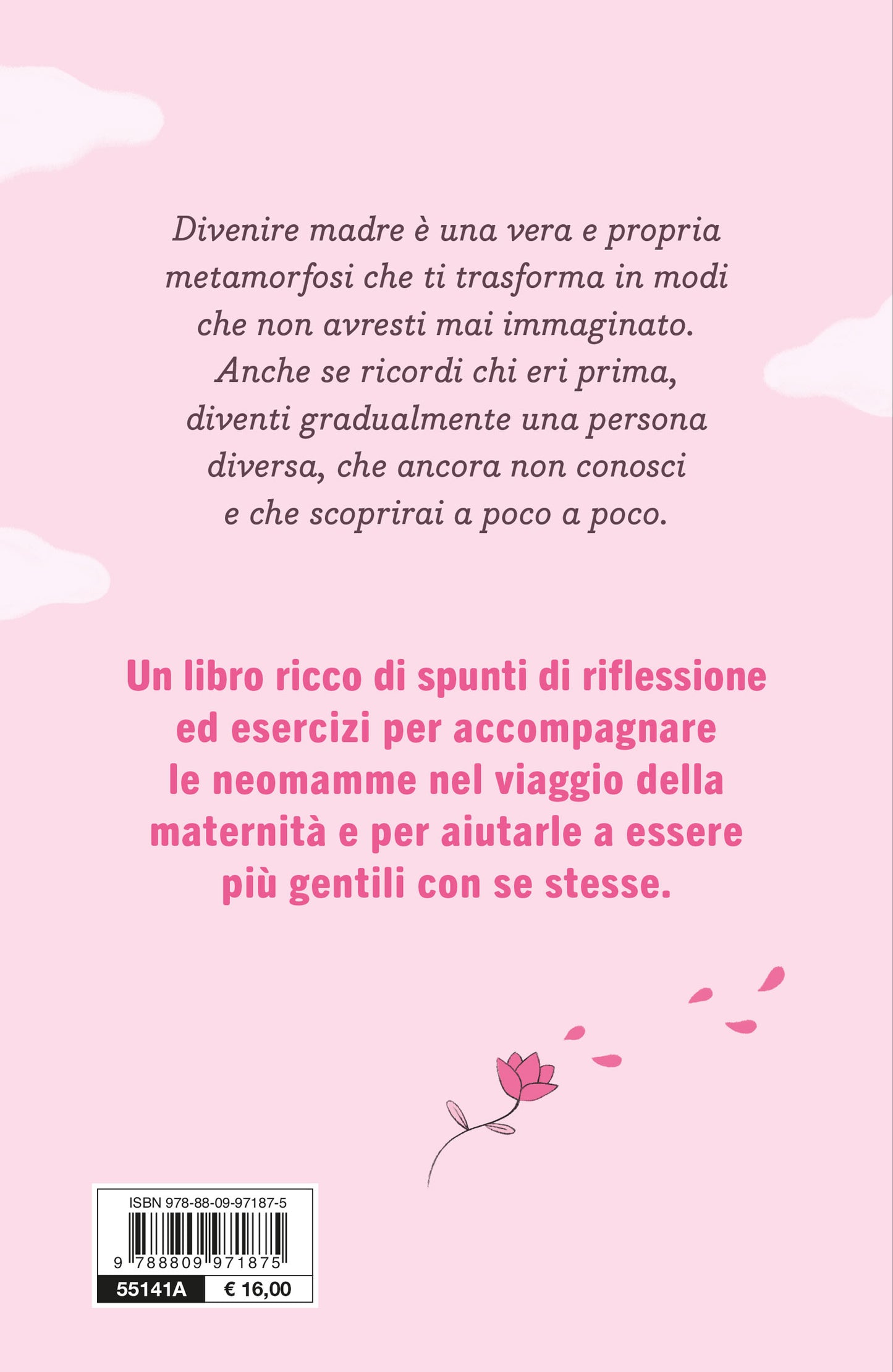 Non sono più sola::Diario di viaggio per neomamme consapevoli e serene
