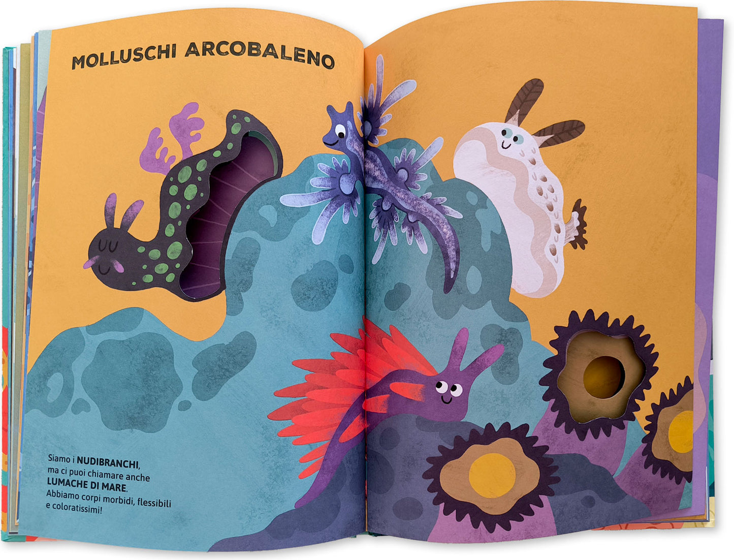 Chi vive nell'acqua?::Libri cucù per sbirciare attraverso i fori e sorprendersi a ogni pagina