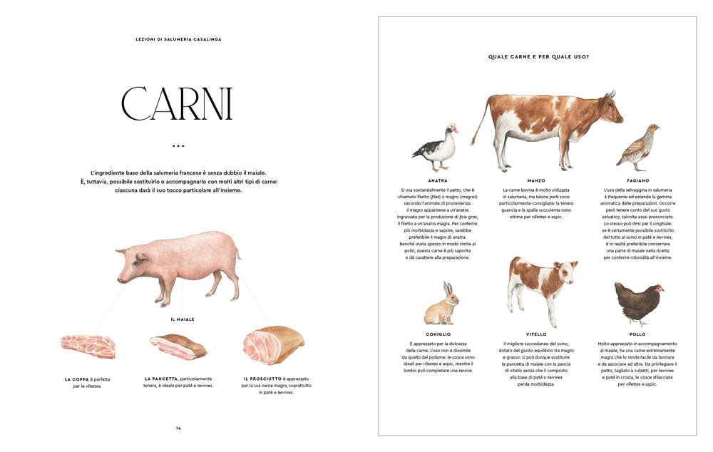 Terrines, rillettes, salsicce e pasticci::80 ricette casalinghe della grande tradizione francese