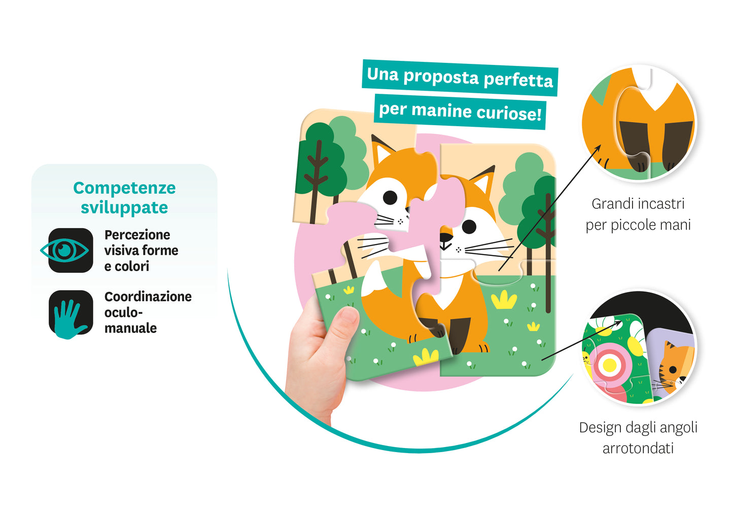 Animali del bosco e del giardino::Primi puzzle a 4 pezzi