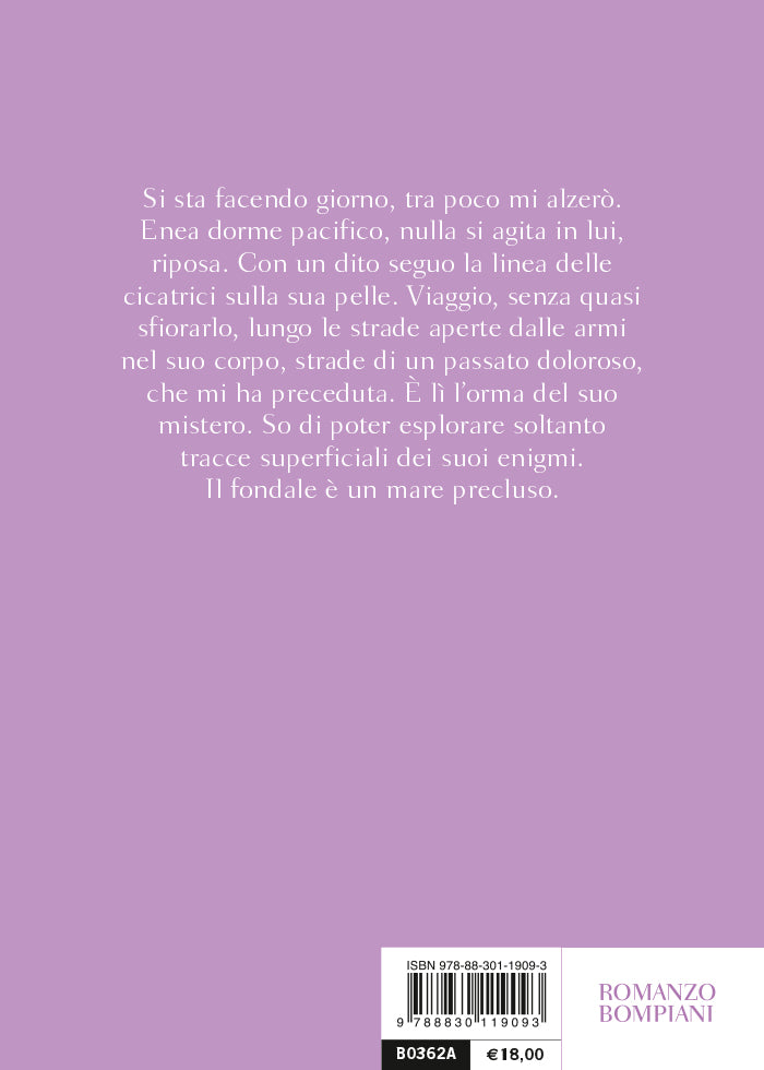 Il mio arco riposa muto::Il romanzo dell'Eneide