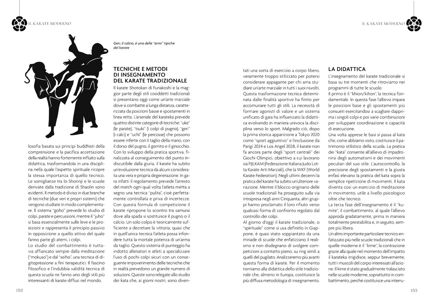 I segreti delle arti marziali