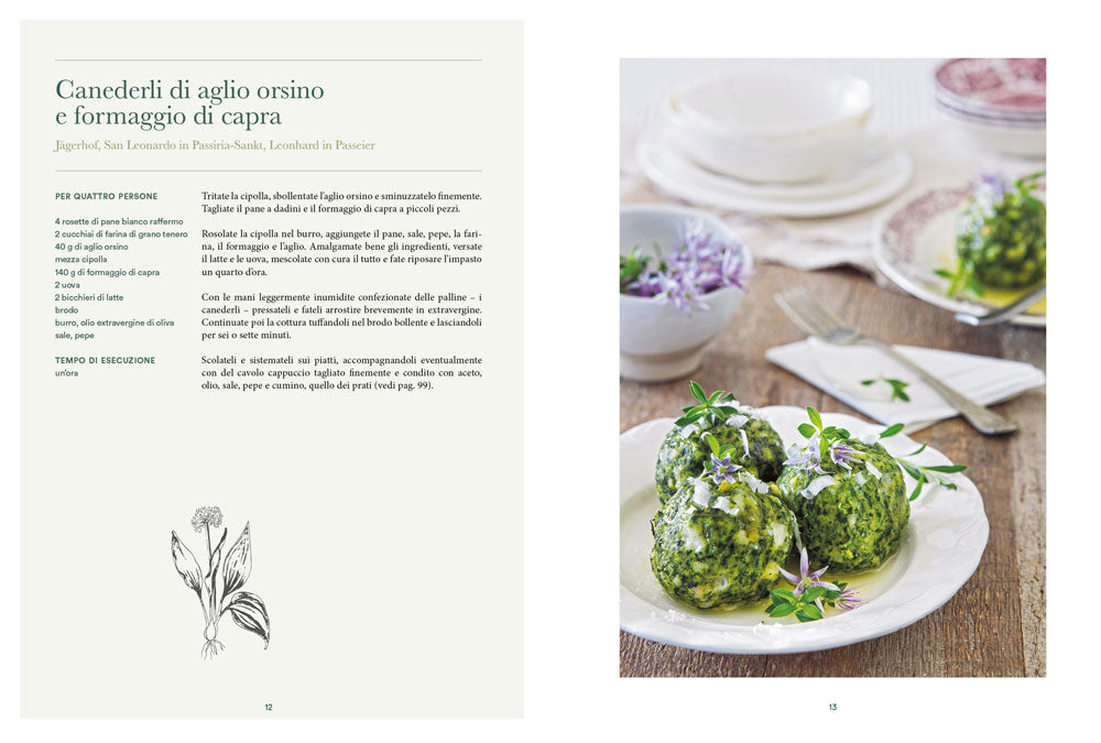 Atlante gastronomico delle erbe::170 piante. 60 ricette