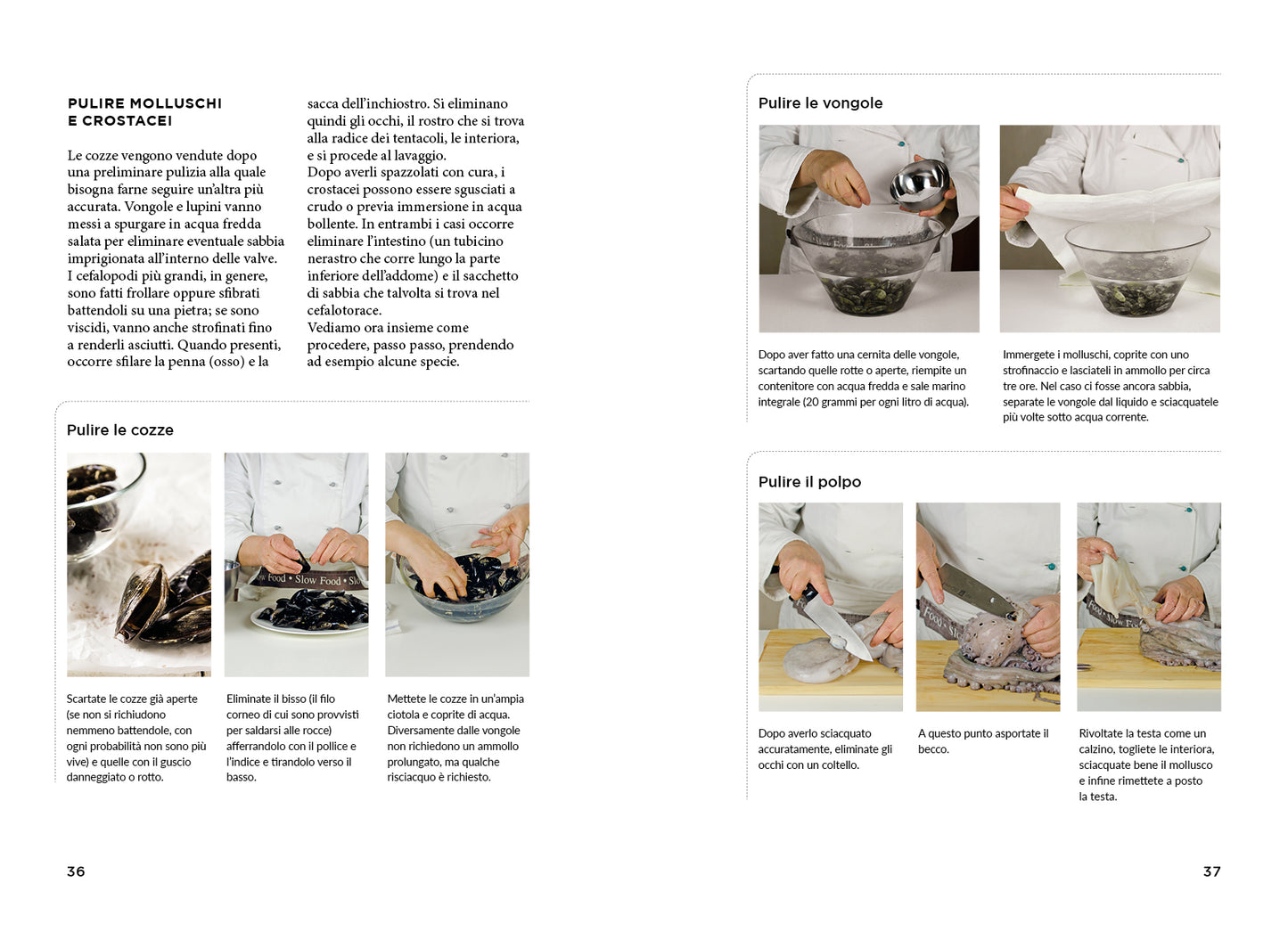 EASY FISH::TECNICHE E RICETTE PER CUCINARE PESCI, MOLLUSCHI E CROSTACEI
