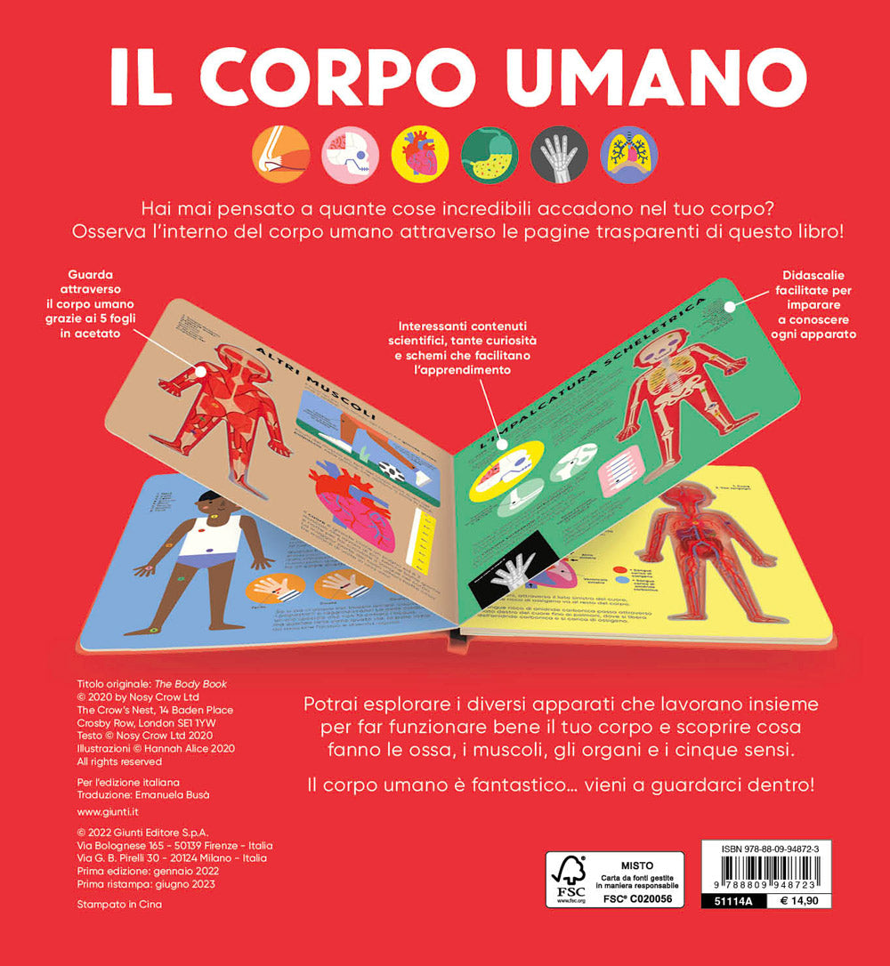Il corpo umano::Guarda attraverso le pagine trasparenti e scopri il fantastico funzionamento del corpo umano!