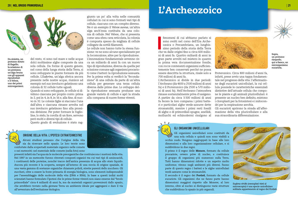 Preistoria. L'evoluzione della vita sulla Terra::Con tante immagini da ritagliare per le tue ricerche