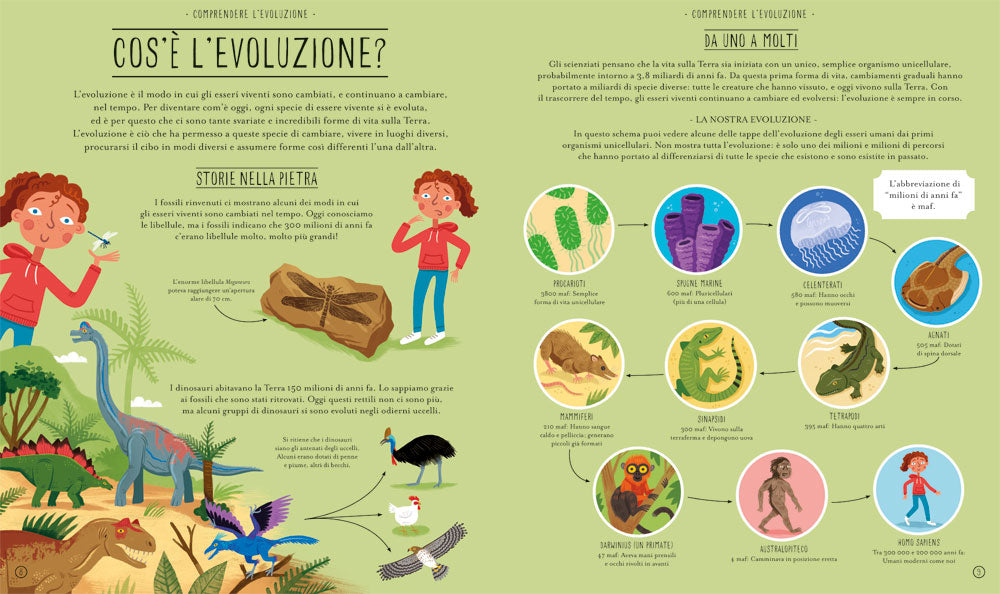 Meravigliosa evoluzione::Il viaggio della vita