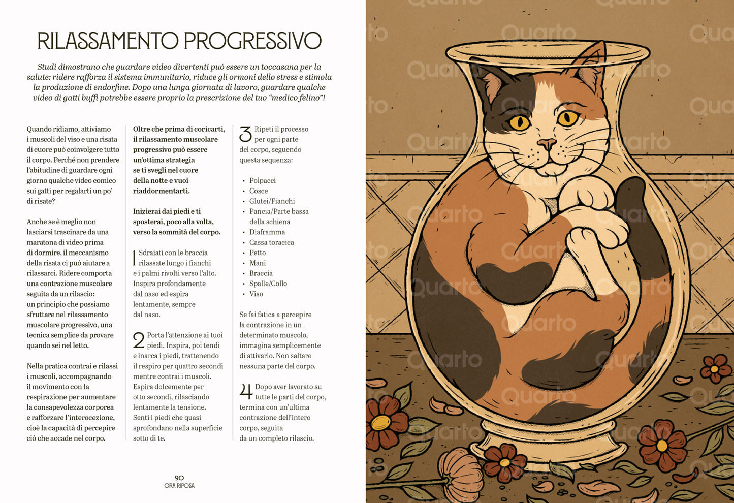 Gatti zen::Guida felina alla meditazione