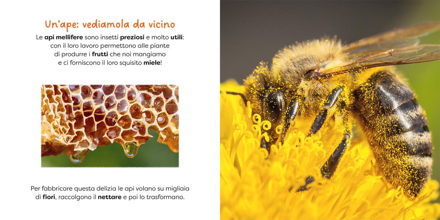 Ape::primi libri fotografici per osservare la natura da vicino!