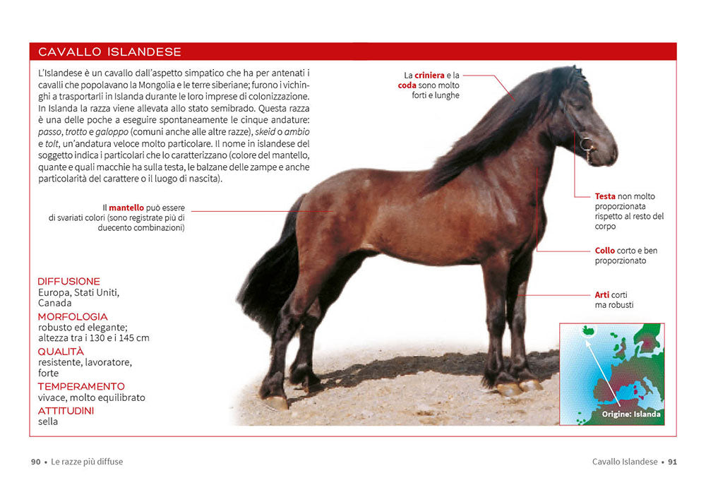 Cavallo. Il manuale completo::Razze, psicologia, alimentazione, pronto soccorso