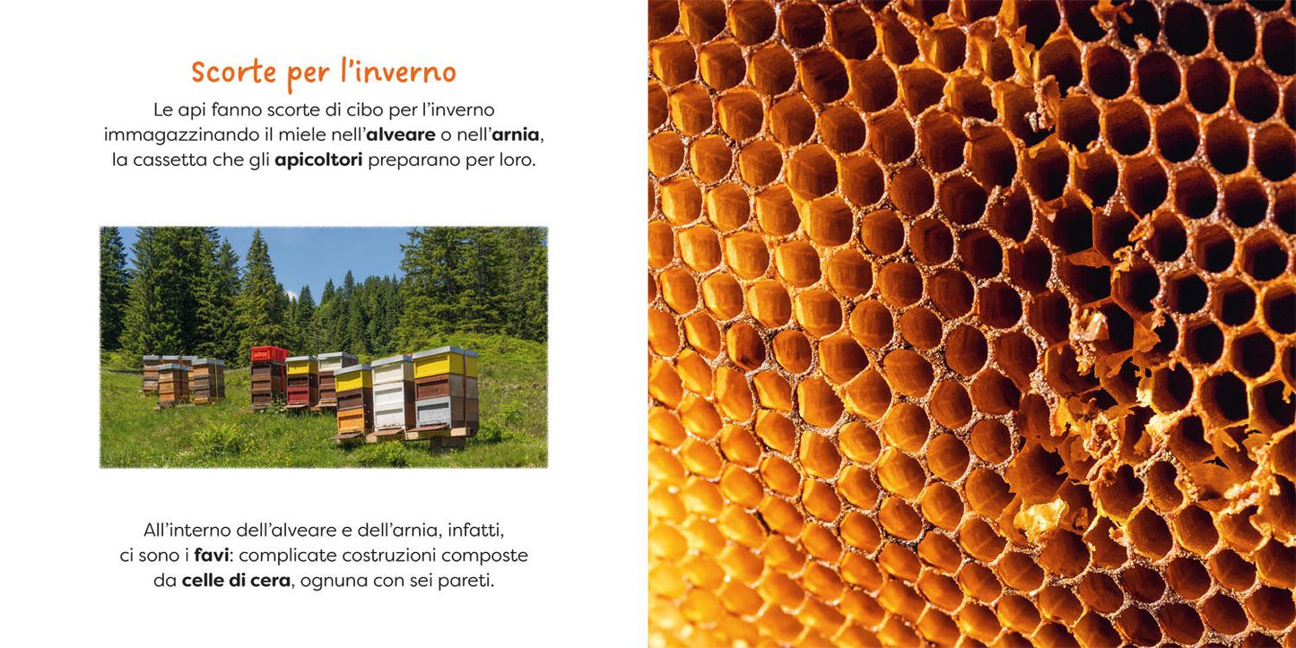 Ape::primi libri fotografici per osservare la natura da vicino!
