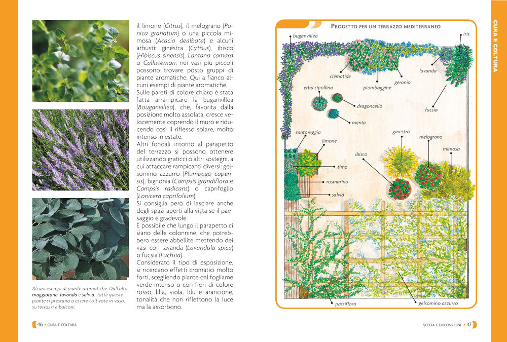 Pollice Verde::Il manuale completo del giardinaggio