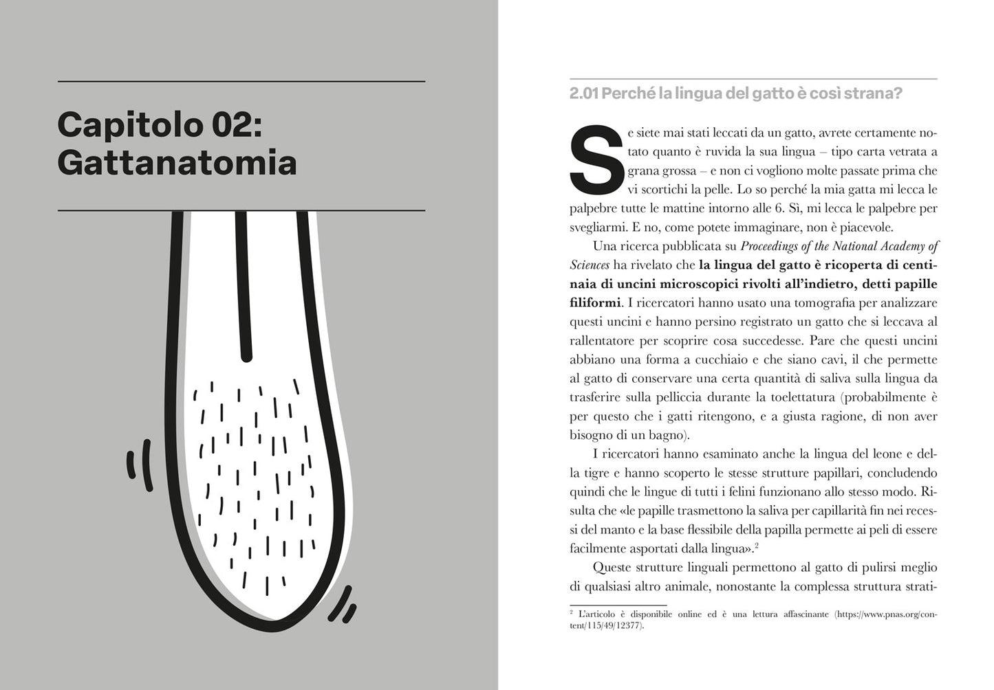 Gattologia::La stramba e meravigliosa scienza dietro al nostro micio