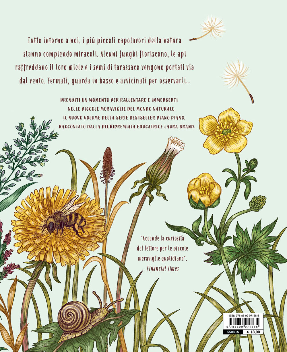 Piano piano... nel piccolo mondo::20 Storie per fermarti ad ammirare i piccoli incanti della natura