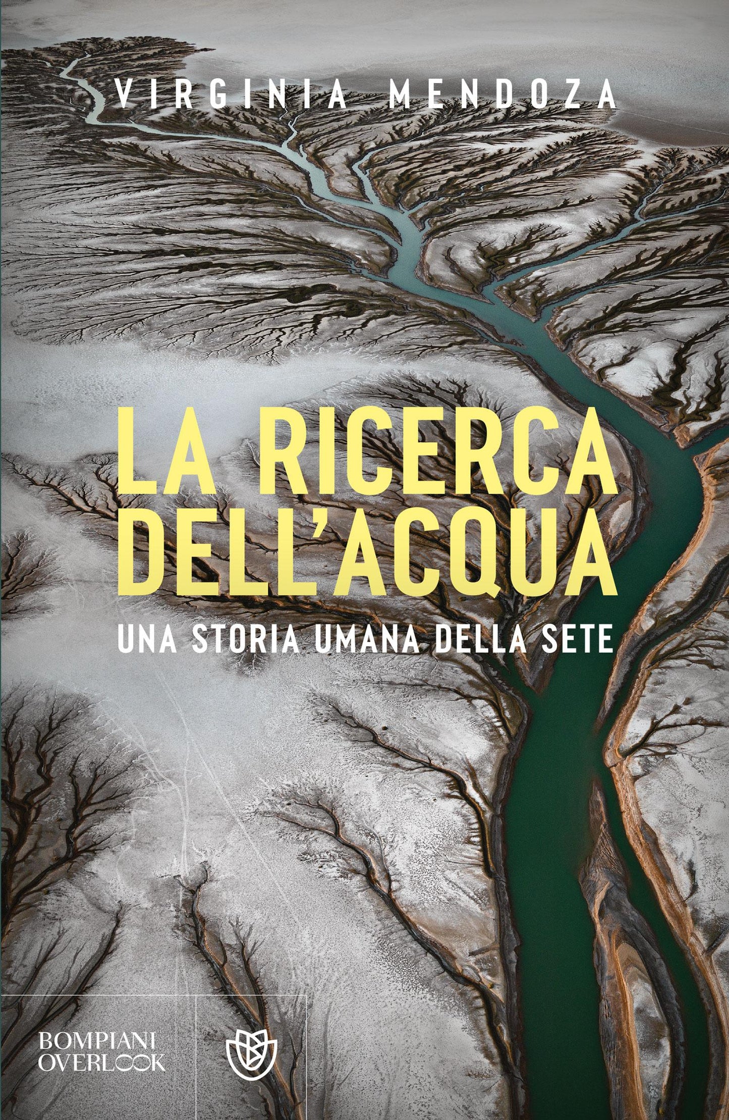 La ricerca dell'acqua::Una storia umana della sete
