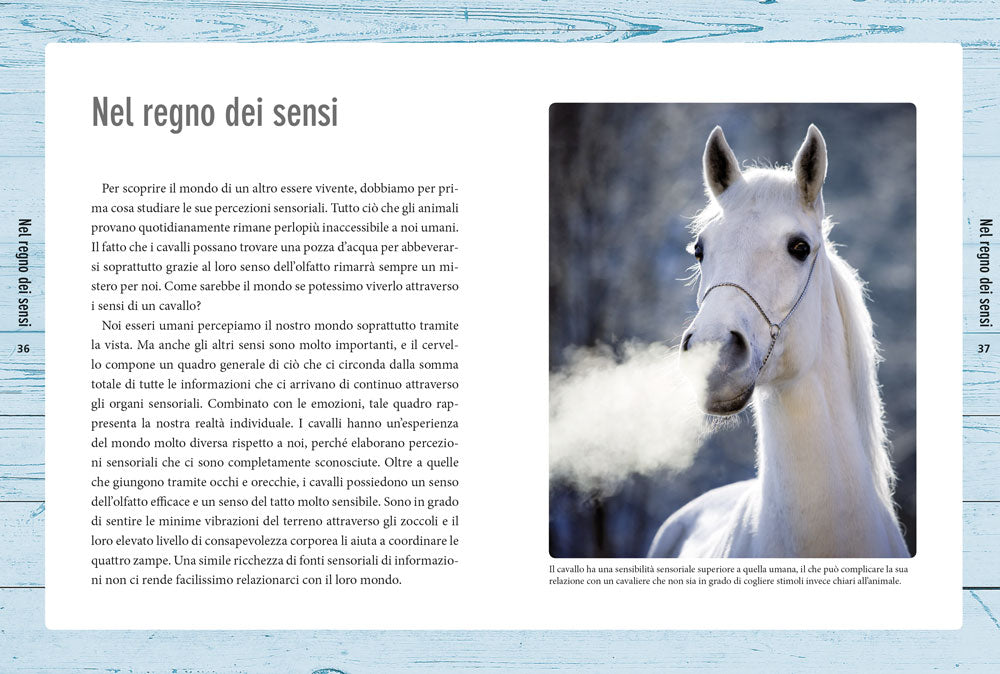 Nella mente del cavallo::Capire le sue emozioni, rispettare la sua intelligenza