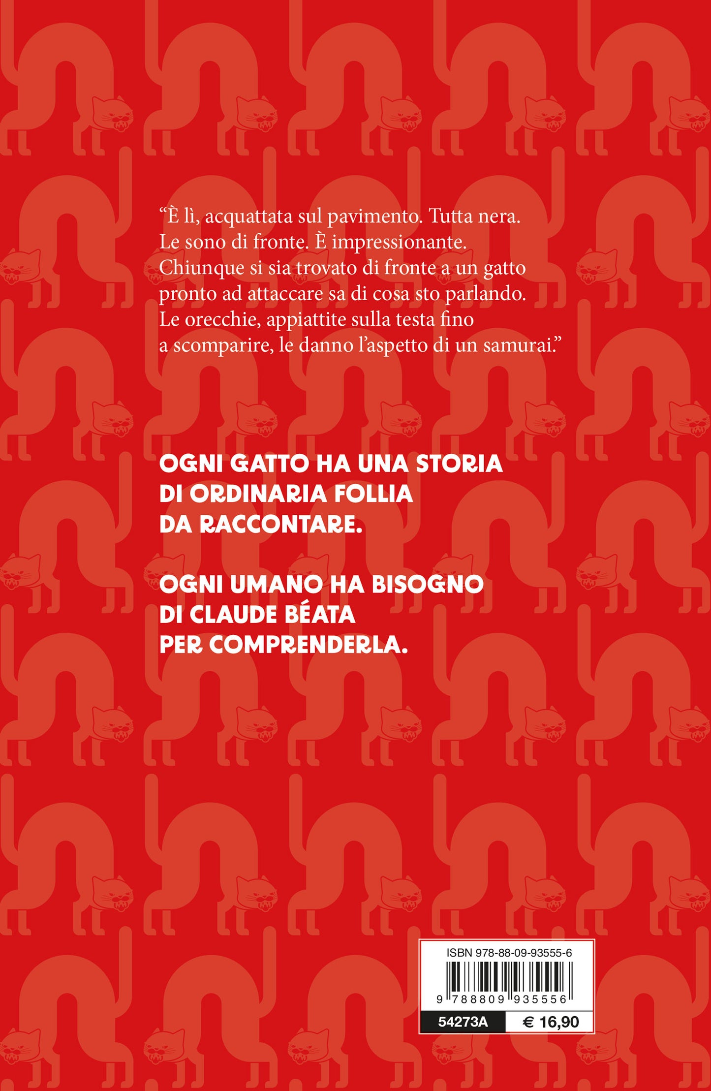 Anche i gatti nel loro piccolo sbroccano::Guida per umani alla comprensione delle follie feline