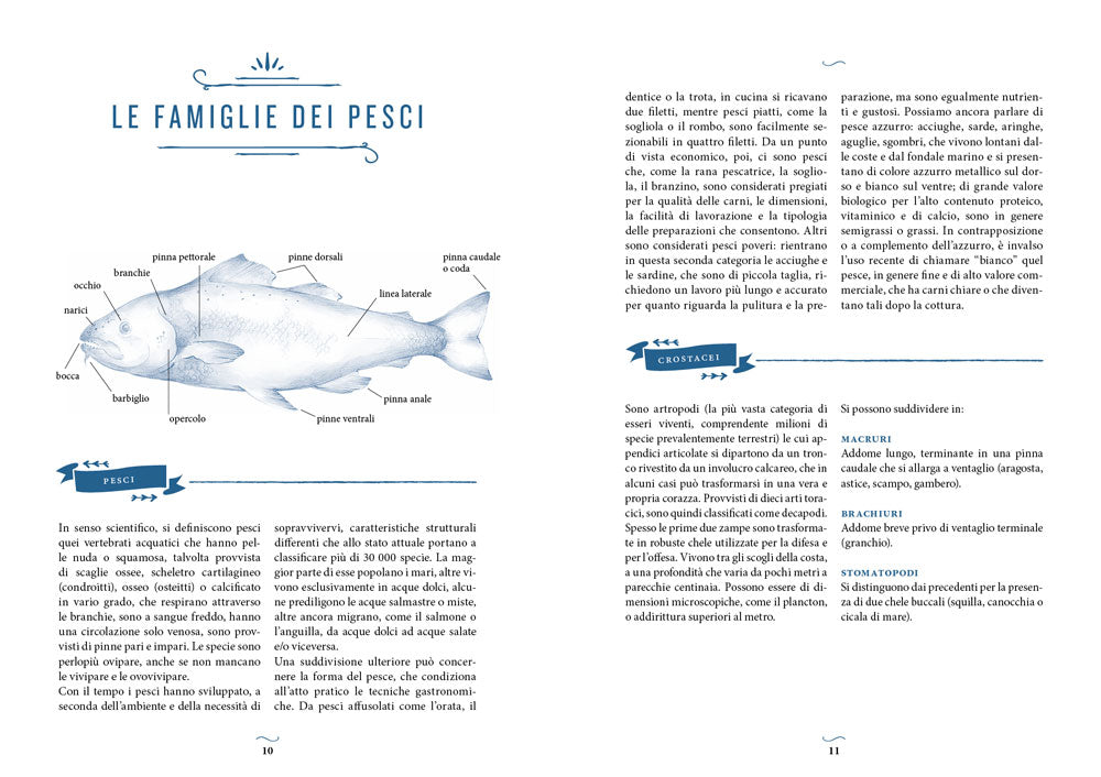 Il grande ricettario del pesce.::150 specie. 360 piatti della tradizione regionale italiana